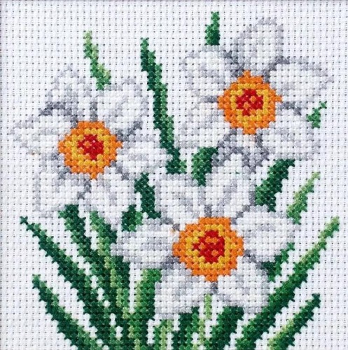 Haft krzyżykowy - Narcyzy, Anex-bis