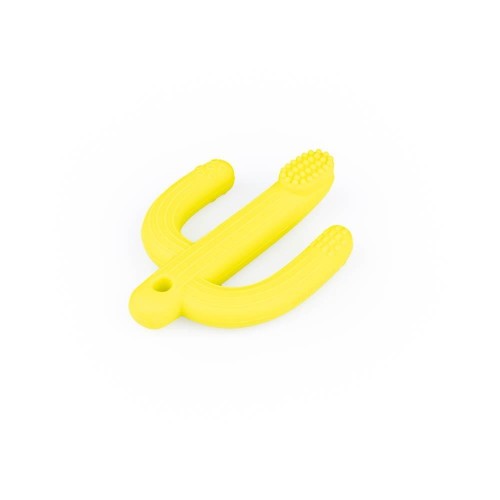 Gryzak Kaktus żółty, Giligums