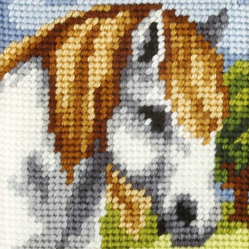 Haft. Moje pierwsze wyszywanie - Konik, Anex-bis