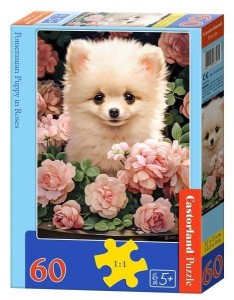 PUZZLE 60 POMERANIAN PUPPY IN ROSES CASTOR