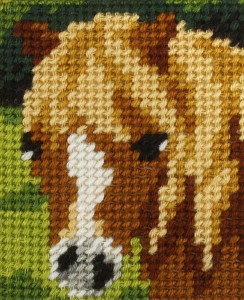 HAFT. MOJE PIERWSZE WYSZYWANIE - KONIK, ANEX-BIS