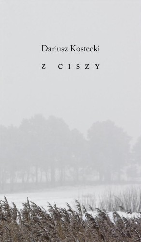 Z ciszy, Dariusz Kostecki