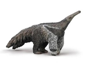 MRÓWKOJAD WIELKI, COLLECTA