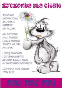 KARNET HAPPY B6 + KOPERTA WZÓR NR 08
