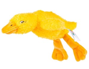 SENSORYCZNA GĘŚ ŻÓŁTA, BALIBAZOO