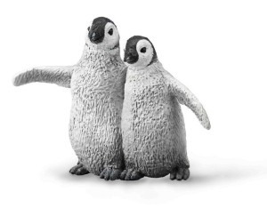 PINGWIN CESARSKI MŁODE, COLLECTA