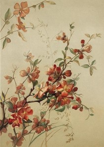 KARNET ST412 B6 + KOPERTA PIGWOWIEC JAPOŃSKI