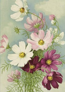 KARNET ST475 B6 + KOPERTA ZAWILEC