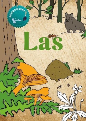 Kolorowanka Las, Katarzyna Kopiec - Sekieta