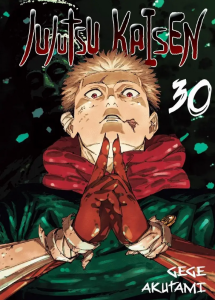 JUJUTSU KAISEN 30 Waneko