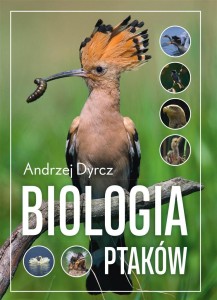 BIOLOGIA PTAKÓW, ANDRZEJ DYRCZ
