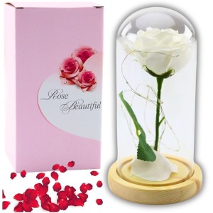 WIECZNA RÓŻA W SZKLE KOPUŁA LED, LEANTOYS