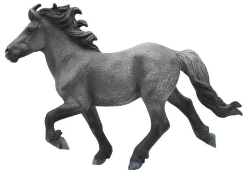 Koń Blue Dun Icelandis Staillion, Collecta