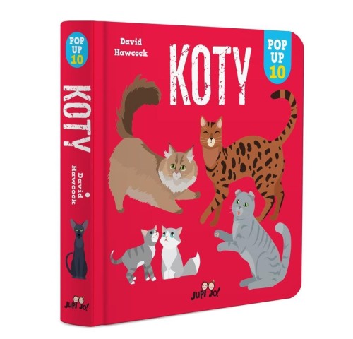 Koty. POP-UP 10, David Hawcock