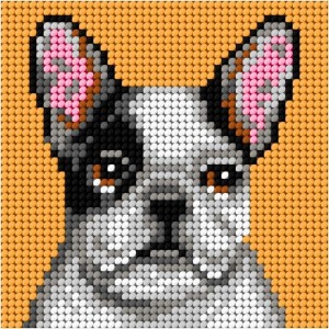 HAFT. MOJE PIERWSZE WYSZYWANIE - BULDOG, ANEX-BIS