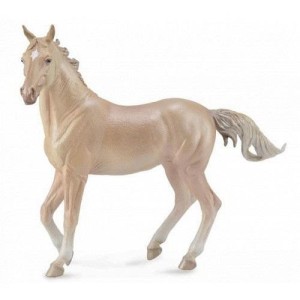 OGIER AKHAL-TEKE PERLINO, COLLECTA