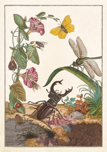 Karnet ST542 B6 + koperta Owady