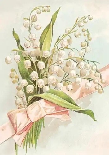 Karnet ST535 B6 + koperta Konwalie