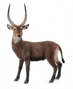 ANTYLOPA WATERBUCK, COLLECTA