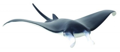 Diabeł morski, Collecta