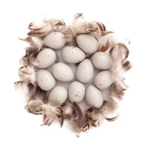 JAJKA PRZEPIÓRCZE PIÓRKA BEŻOWE 6SZT