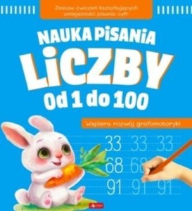 NAUKA PISANIA. LICZBY OD 1 DO 100, PRACA ZBIOROWA