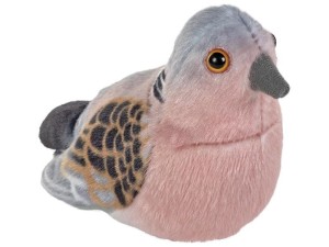 TURKAWKA, RANOK-CREATIVE