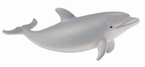Delfin butlonosy młody, Collecta