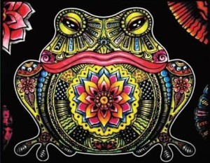 KOLOROWANKA WELWETOWA ŻABA 47X35CM, COLORVELVET