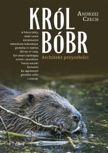 KRÓL BÓBR, ANDRZEJ CZECH