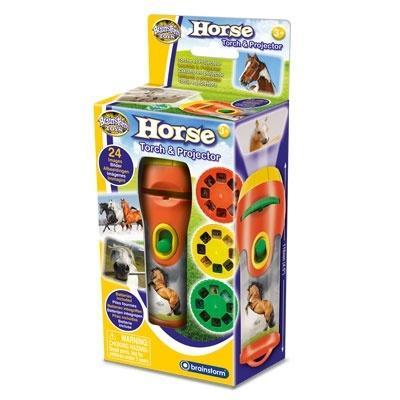 Latarka i projektor - Konie i kucyki, Brainstorm