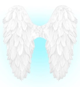 BIAŁE SKRZYDŁA NATURALNE PIÓRA, WIDMANN