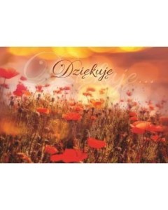 A KARTKA SKŁADANA - DZIĘKUJĘ