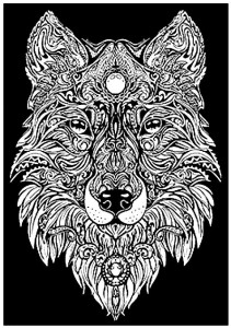 KOLOROWANKA WELWETOWA 29,7X21 LUPUS, STEPP