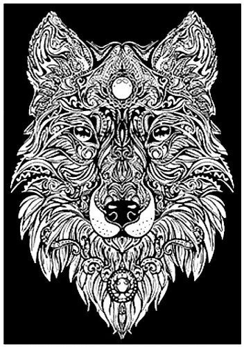 Kolorowanka Welwetowa 29,7x21 Lupus, Stepp