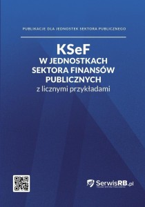 KSEF W JEDNOSTKACH SEKTORA FINANSÓW PUBLICZNYCH...
