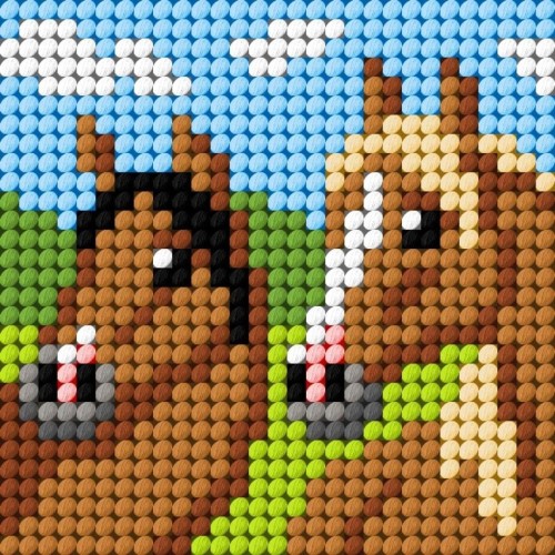 Haft. Moje pierwsze wyszywanie - Konie, Anex-bis