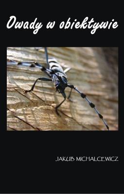 Owady w obiektywie TW, Jakub Michalcewicz