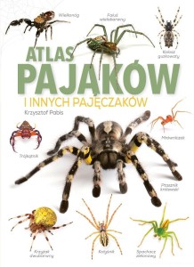 ATLAS PAJĄKÓW I INNYCH PAJĘCZAKÓW, KRZYSZTOF PABIS