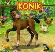 Konik JAFI, Katarzyna Campbell