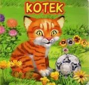 KOTEK JAFI, KATARZYNA CAMPBELL