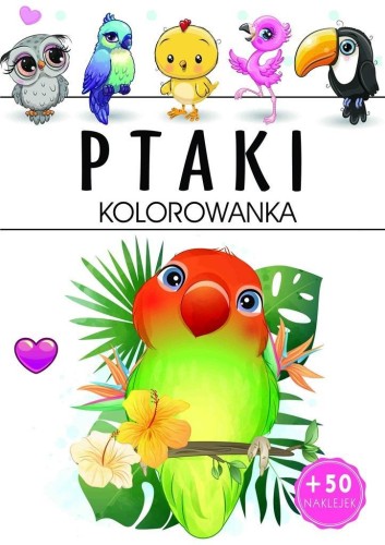 Ptaki - kolorowanka, praca zbiorowa