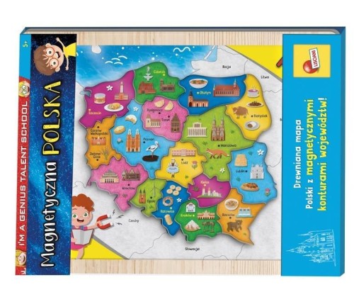 Mapa magnetyczna Polski, Lisciani