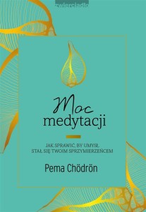MOC MEDYTACJI. JAK SPRAWIĆ, BY UMYSŁ STAŁ SIĘ..