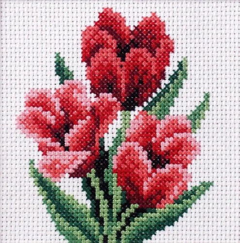 Haft krzyżykowy - Tulipany, Anex-bis