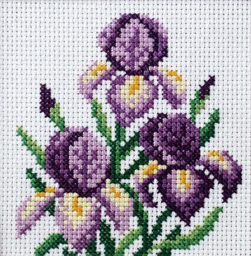 Haft krzyżykowy - Irysy, Anex-bis