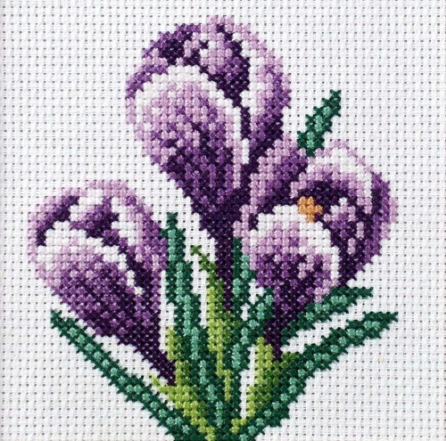 Haft krzyżykowy - Krokusy, Anex-bis