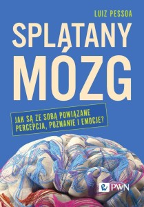 SPLĄTANY MÓZG. JAK SĄ ZE SOBĄ POWIĄZANE PERCEPCJA.