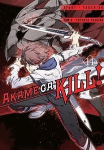 Akame Ga Kill 14