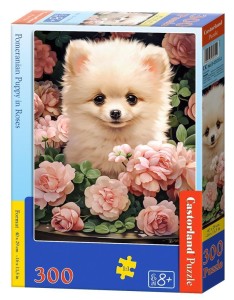 PUZZLE 300 POMERANIAN PUPPY IN ROSES CASTOR